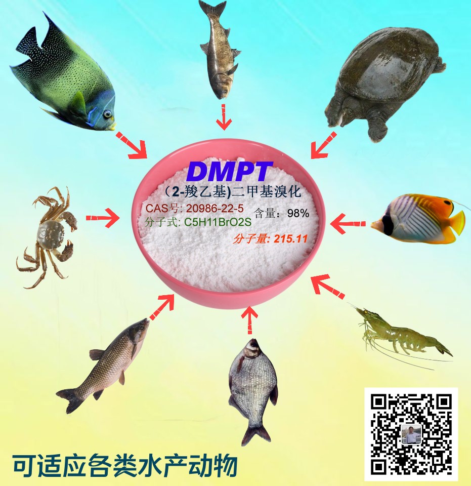 (2-羧乙基)二甲基溴化锍及二甲基-β-丙酸噻亭(DMPT)