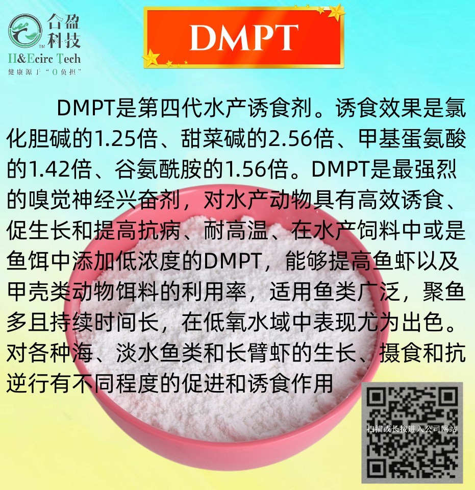 (2-羧乙基)二甲基溴化锍及二甲基-β-丙酸噻亭(DMPT)
