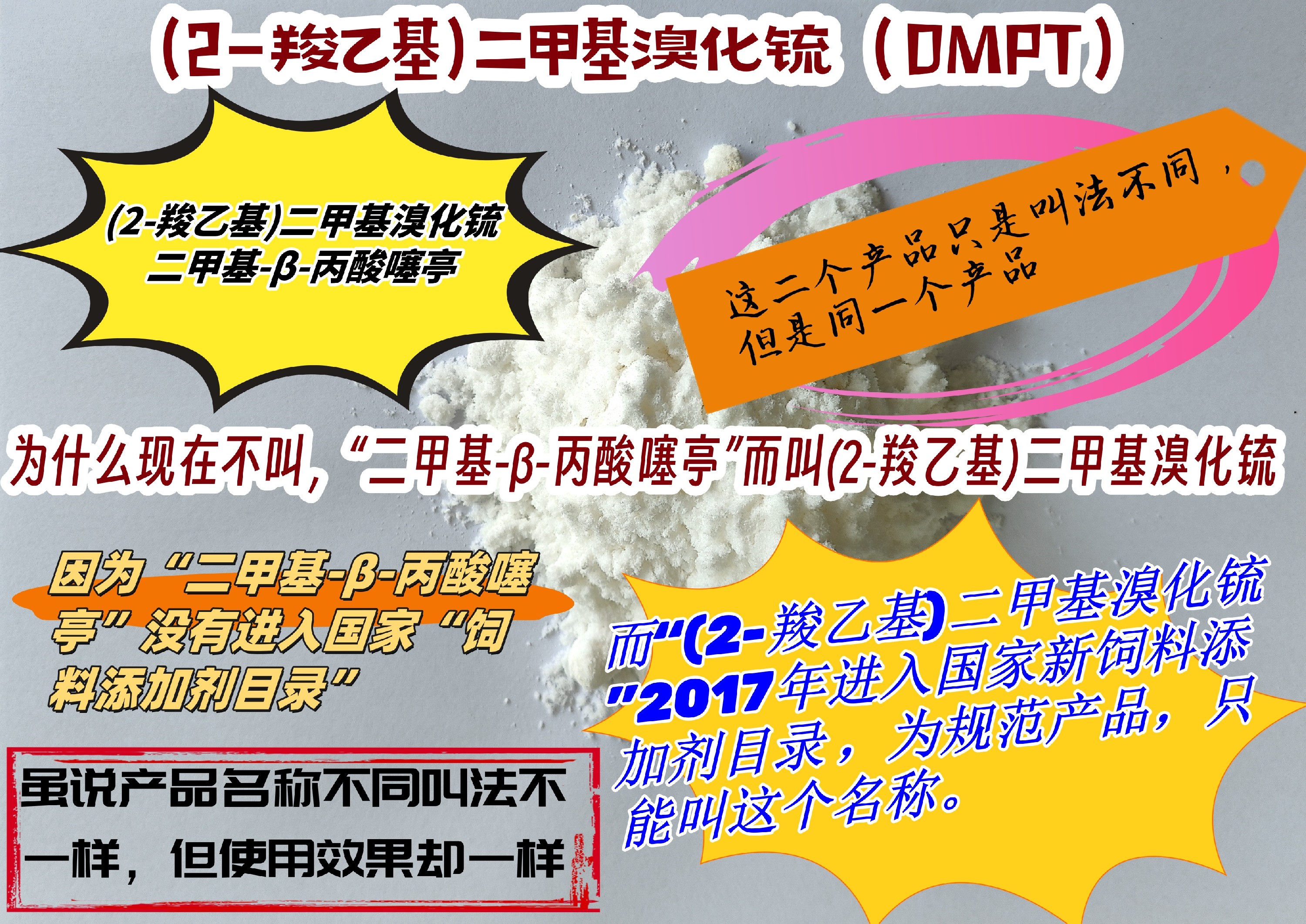 (2-羧乙基)二甲基溴化锍及二甲基-β-丙酸噻亭(DMPT)