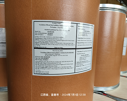 DMPT桶规格包装