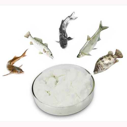 应用场景：水产饲料，鱼类养殖，钓鱼，水产动保