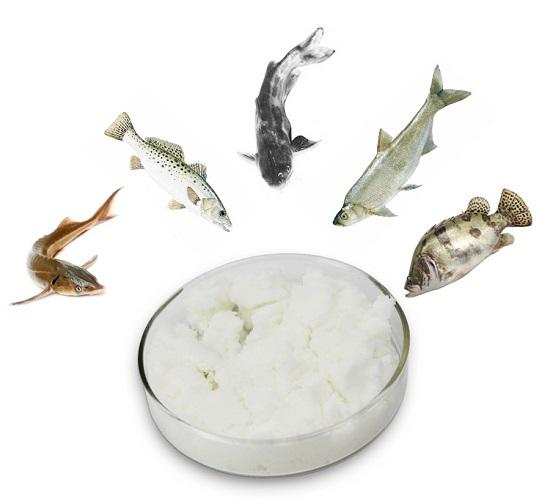 Jiangxi Heying Biotechnology Co., Ltd